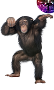 Talking monkey ภาพหน้าจอ 5