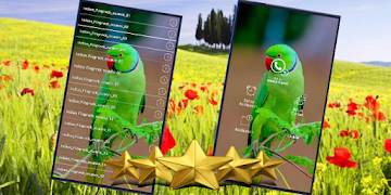 Indian Ringneck Parrot Sound: Rose-Ringed Parakeet 스크린샷 2