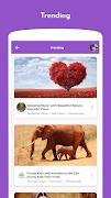 ClipFlip Theme screenshot 1