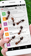 Ants On Your Phone Screen Prank-poster