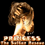 Princess The Sultan Rescue