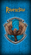 Sorting Hat, Random Ekran Görüntüsü 2