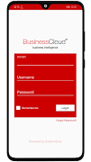 BusinessCloud BI plakat