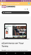Custom Basic Sample App Screenshot 3