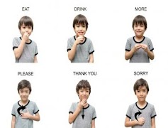 Sign Language For Beginners Simple ภาพหน้าจอ 1