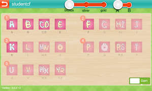 MELS Assessment screenshot 5