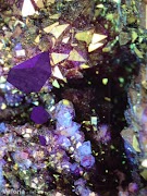 These restless objects syot layar 4