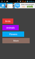 Animals Flowers Birds 海報