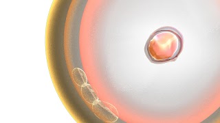 Zygote 3D captura de pantalla 4
