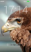 Eagle Lock Screen স্ক্রিনশট 2