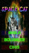Space Cat 海报