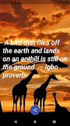 African Proverbs capture d'écran 2