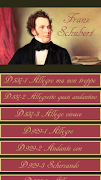 Franz Schubert Classic poster