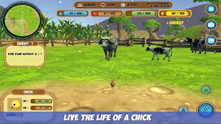 Chick Simulator screenshot 7