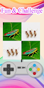Insect Jogo da Memória imagem de tela 4