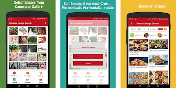 Reverse Image Search capture d'écran 3