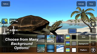 Turtle Mannequin capture d'écran 5