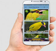 Suara Burung Kepodang Emas Mp3 Ekran Görüntüsü 2