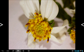 KoPa Vision Pro 截圖 6