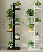 Étagère à fleurs capture d'écran 2