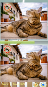 Find Difference Games screenshot 1
