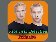 Face Twin Detector Simulated imagem de tela 5