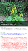 2 Schermata 풀꽃도감