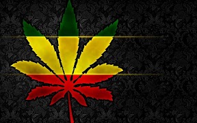 Poster Weed Wallpapers