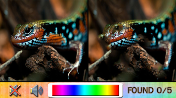 Poster Find Difference beast