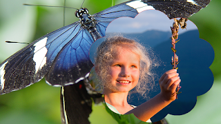 Amazing Butterflies Frames screenshot 3
