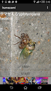 nsect singing cicadas スクリーンショット 1
