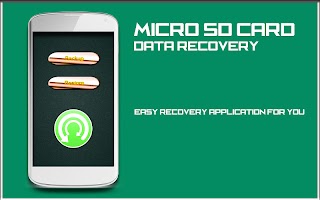 Micro SD Card Data Recovery bài đăng