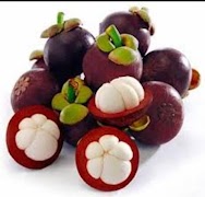 Benefits of Mangosteen Fruit For Health ảnh chụp màn hình 3