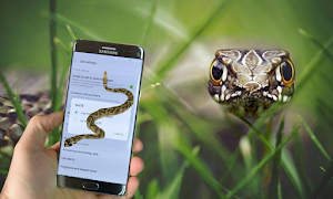 snake on screen スクリーンショット 2