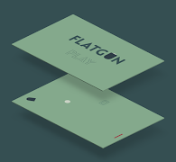 Flatgun 스크린샷 1