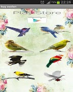 Poster Suoni degli uccelli