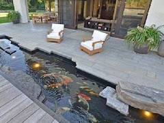 Estanque de peces captura de pantalla 1