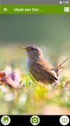 Identify - Birds poster