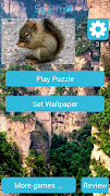 Squirrel Wallpapers پوسٹر