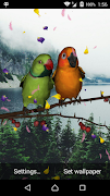 Love Birds Live Wallpaper captura de pantalla 2