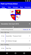 Flash Ley Primary Plakat