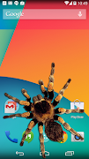 Spider pada layar screenshot 5