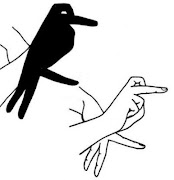 Hand Shadow Arts স্ক্রিনশট 3