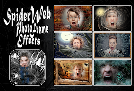 پوستر Spider Web Photo Frame Effects