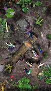 Zen Pond captura de pantalla 1