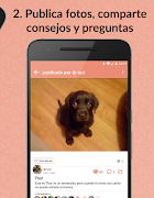 ExpertoAnimal 🐶 🐱  La comunidad de Pet Lovers ảnh chụp màn hình 3