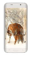 Forest HD Live Wallpaper ảnh chụp màn hình 3