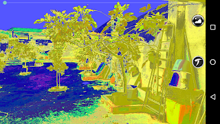 Predator vision capture d'écran 3