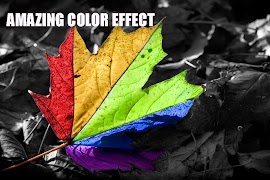 Color Splash Camera पोस्टर