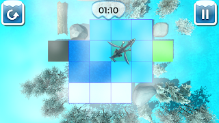 Clustercry 포스터